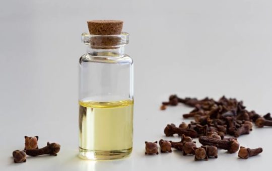 Clove or Laung Benefits