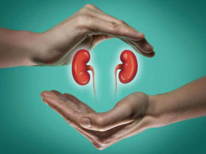 किडनी की बीमारी से बचने के 4 तरीके | How To Keep My Kidneys Healthy